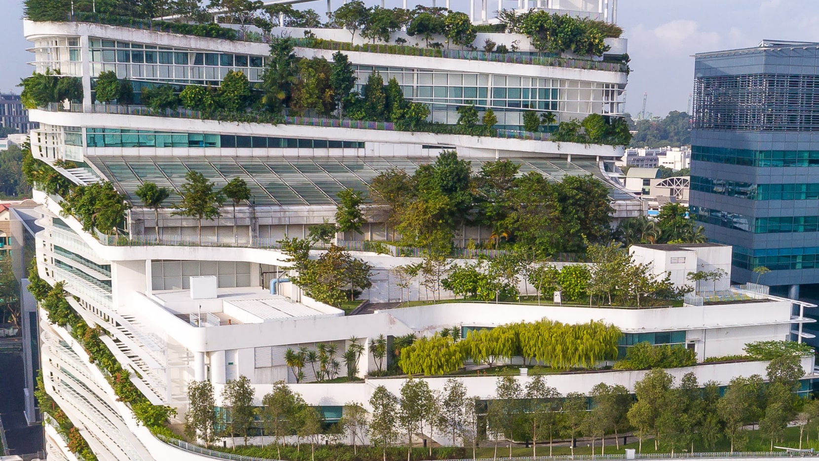 Beyond Green Roofs: Biodiversity Corridors In Vertical Developments