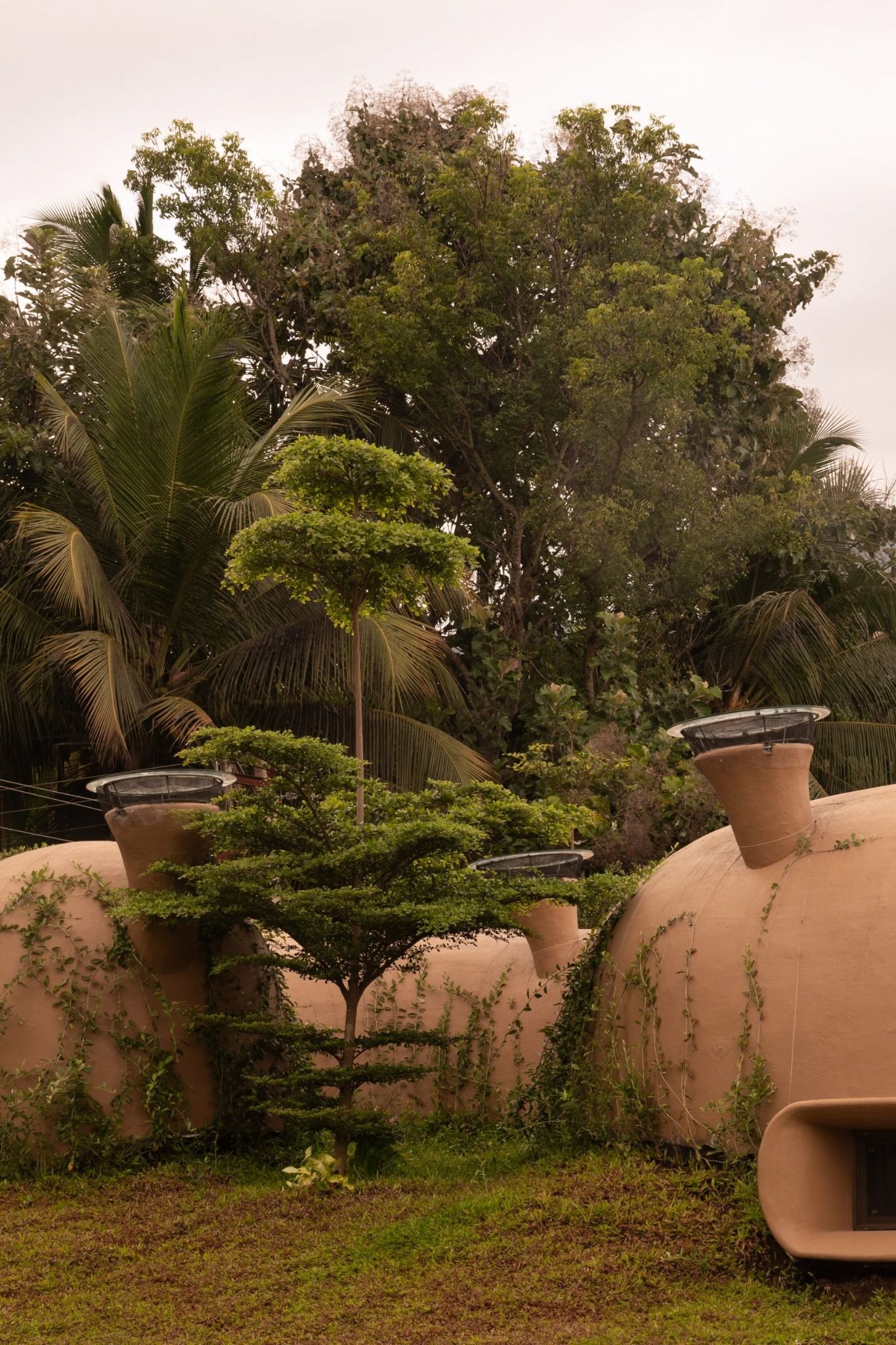 The Wild House by Earthscape Studio: A Living Habitat Carved from Earth and Memory