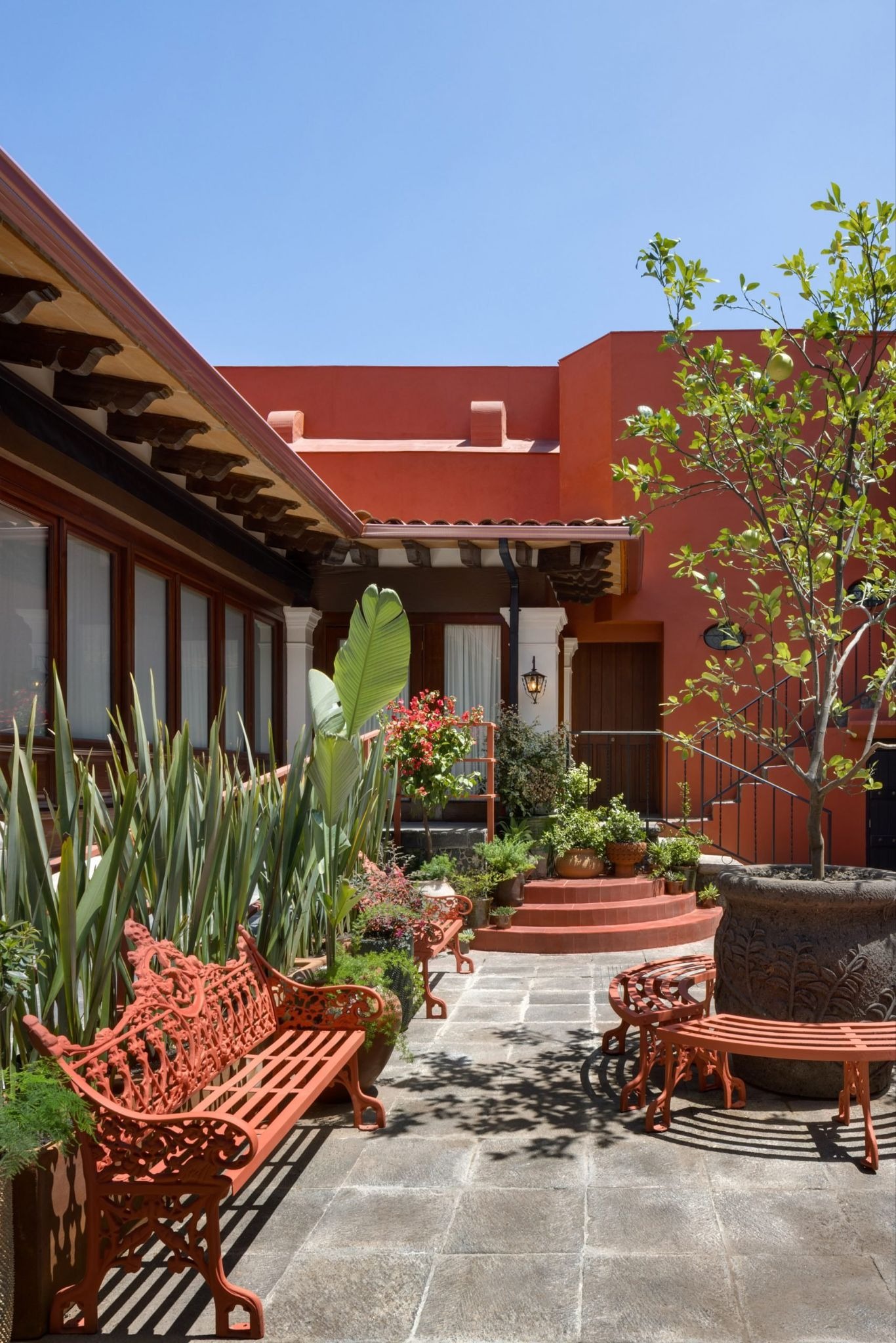 The Red House Awakening: Mariana Doet Zepeda Orozco Unveils the Private World of Frida