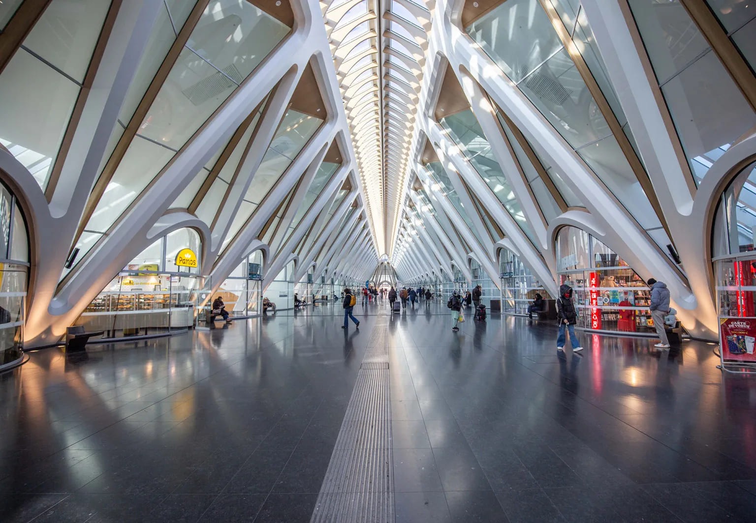The Skeletal Gateway: Calatrava’s Mons Railway Station Redefines the Belgian Horizon
