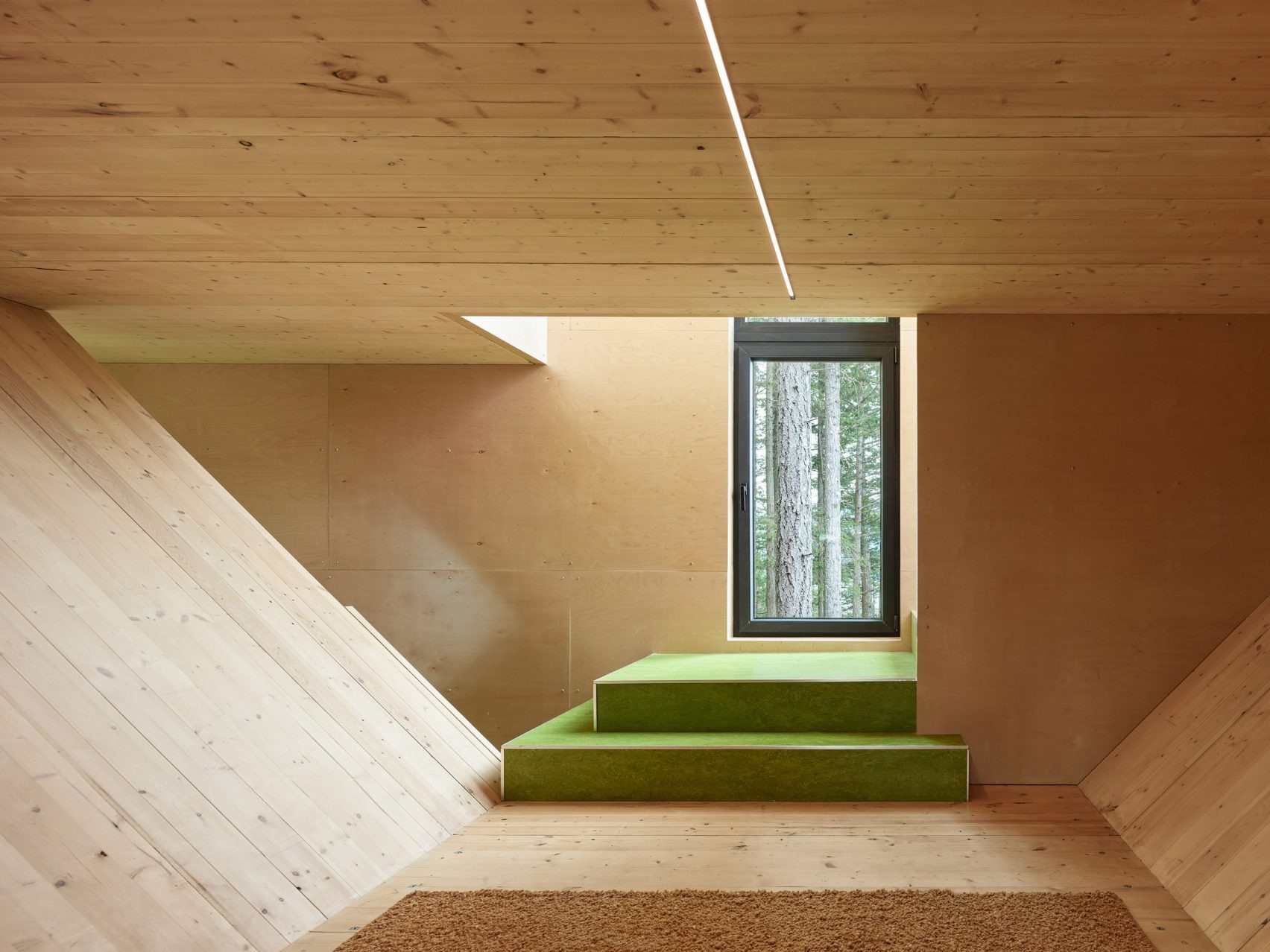 The Nest: Daria Sheina Studio’s Solar-Powered Perch in the British Columbia Canopy