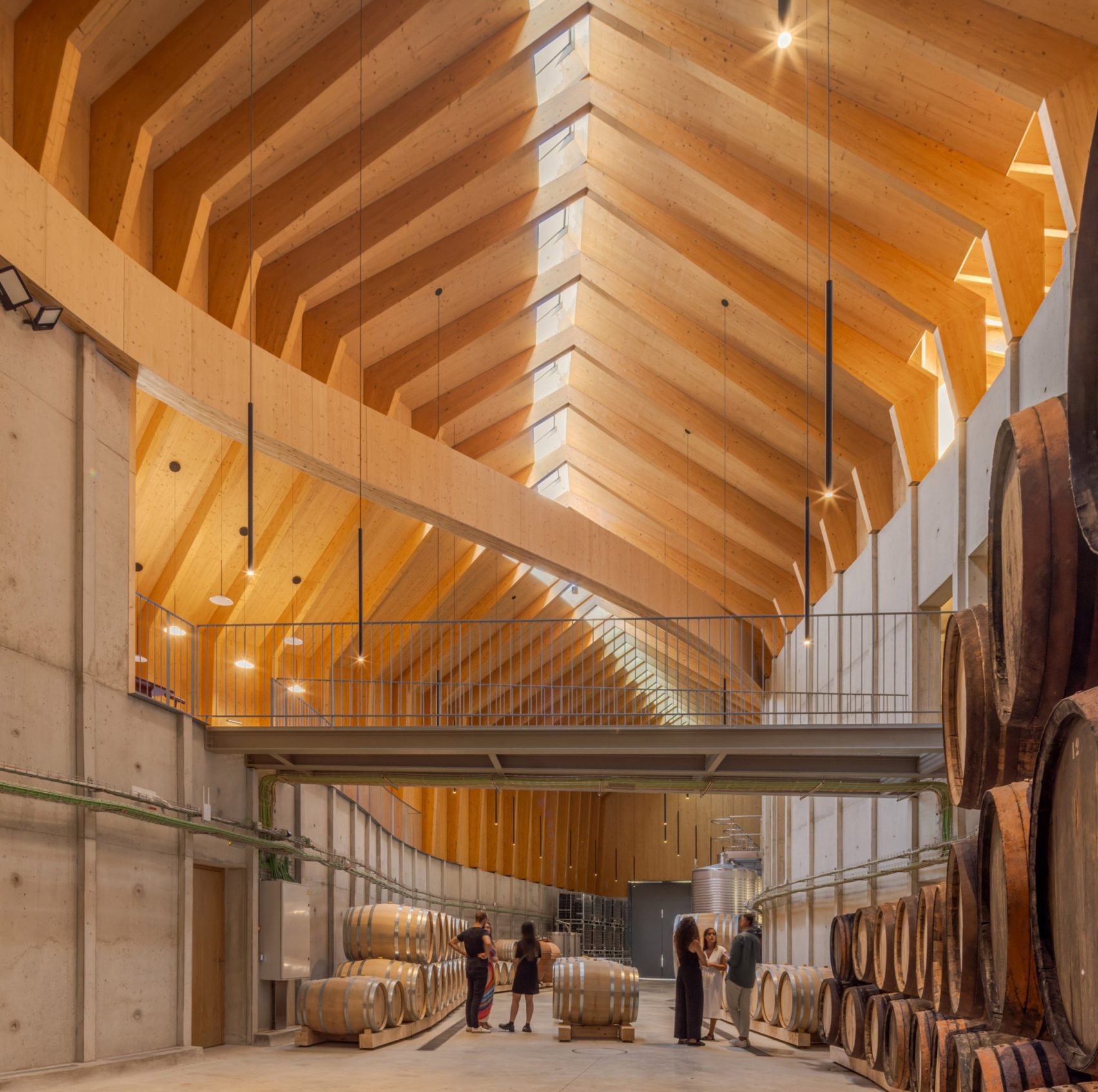 Quinta de Adorigo Winery by Atelier Sérgio Rebelo: Terraced Elegance and Vineyards in Motion