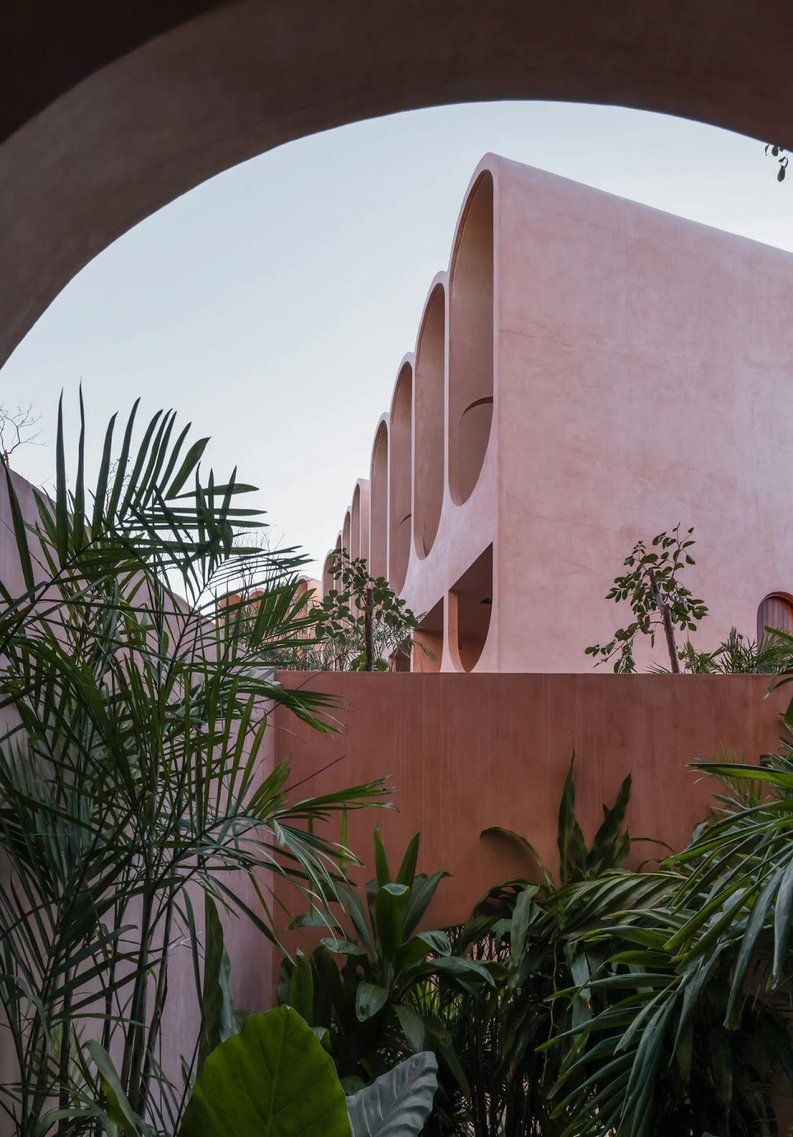 A Vertical Interpretation of Community in the Tropical City