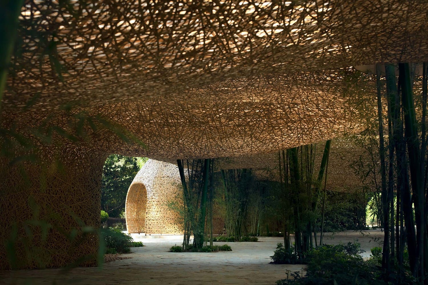 When a Grass Becomes Infrastructure
