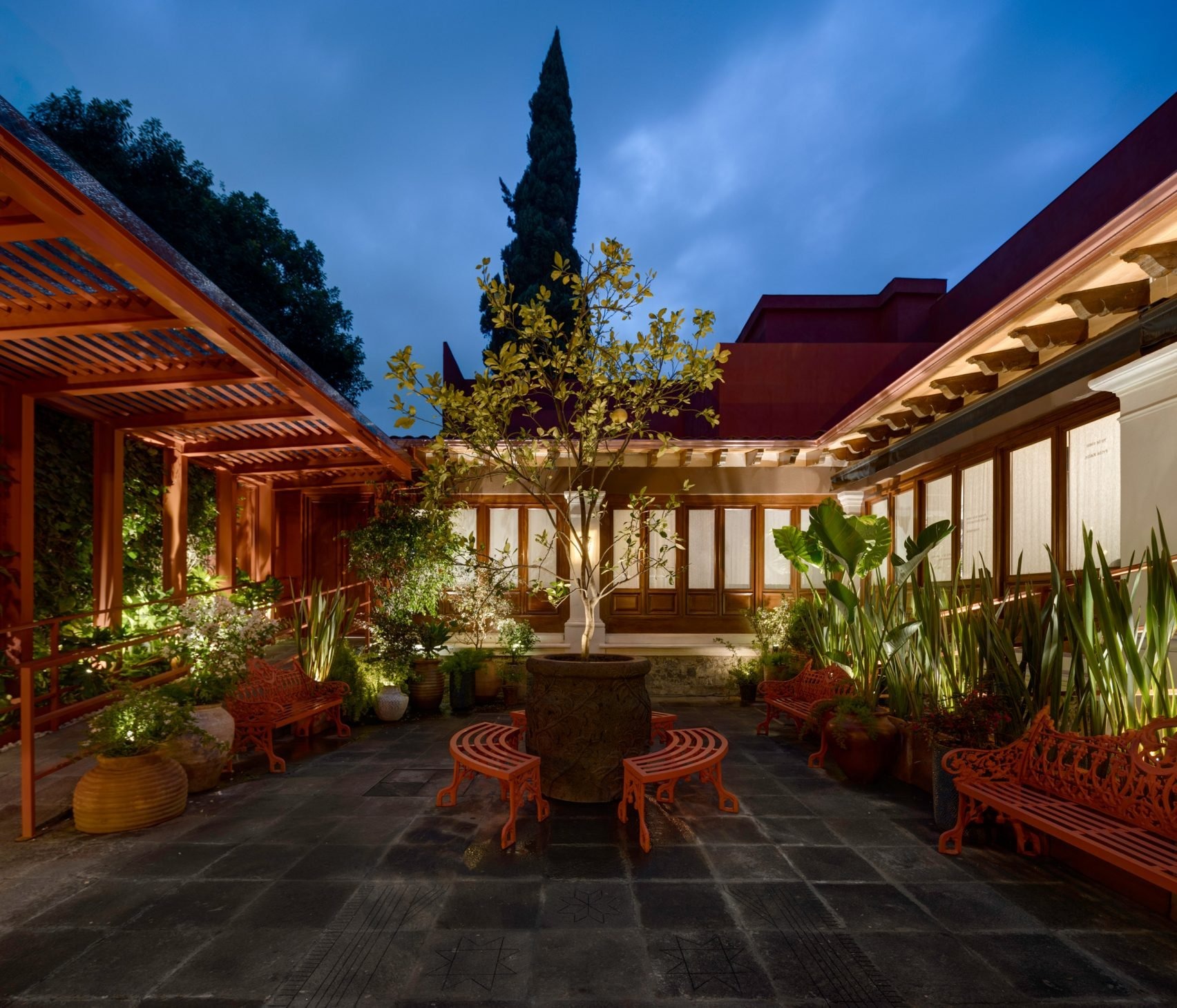 The Red House Awakening: Mariana Doet Zepeda Orozco Unveils the Private World of Frida