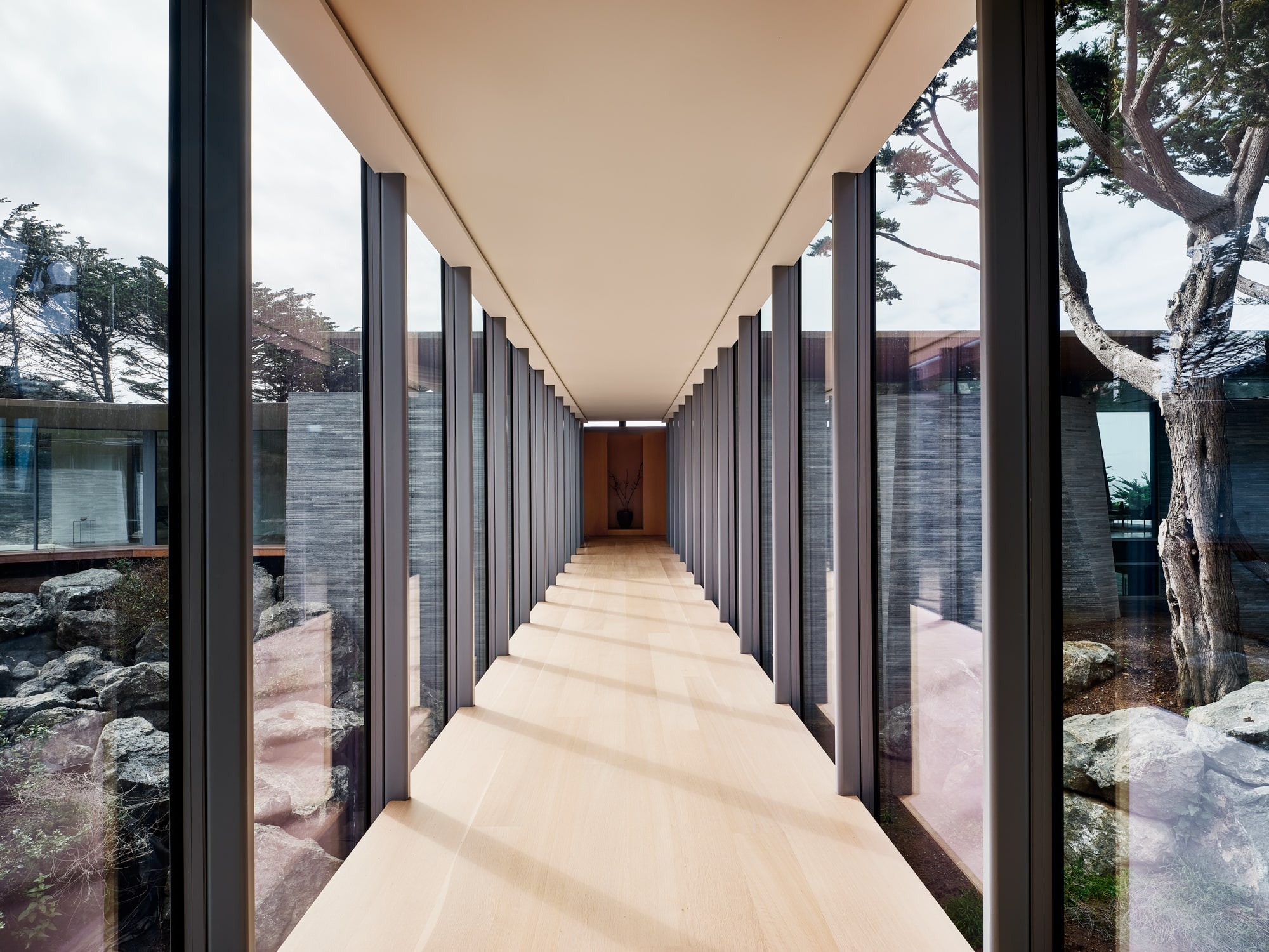 The Silent Sentinel: Field Architecture Weaves a Home Through the Big Sur Redwoods