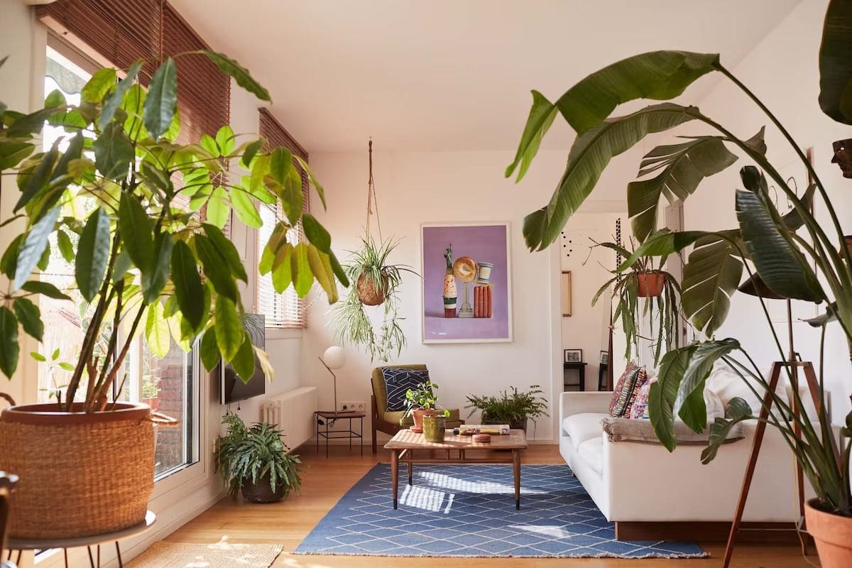 The Architecture of Temporary Living: What Barcelona's Best Design Rentals Reveal About Urban Domesticity
