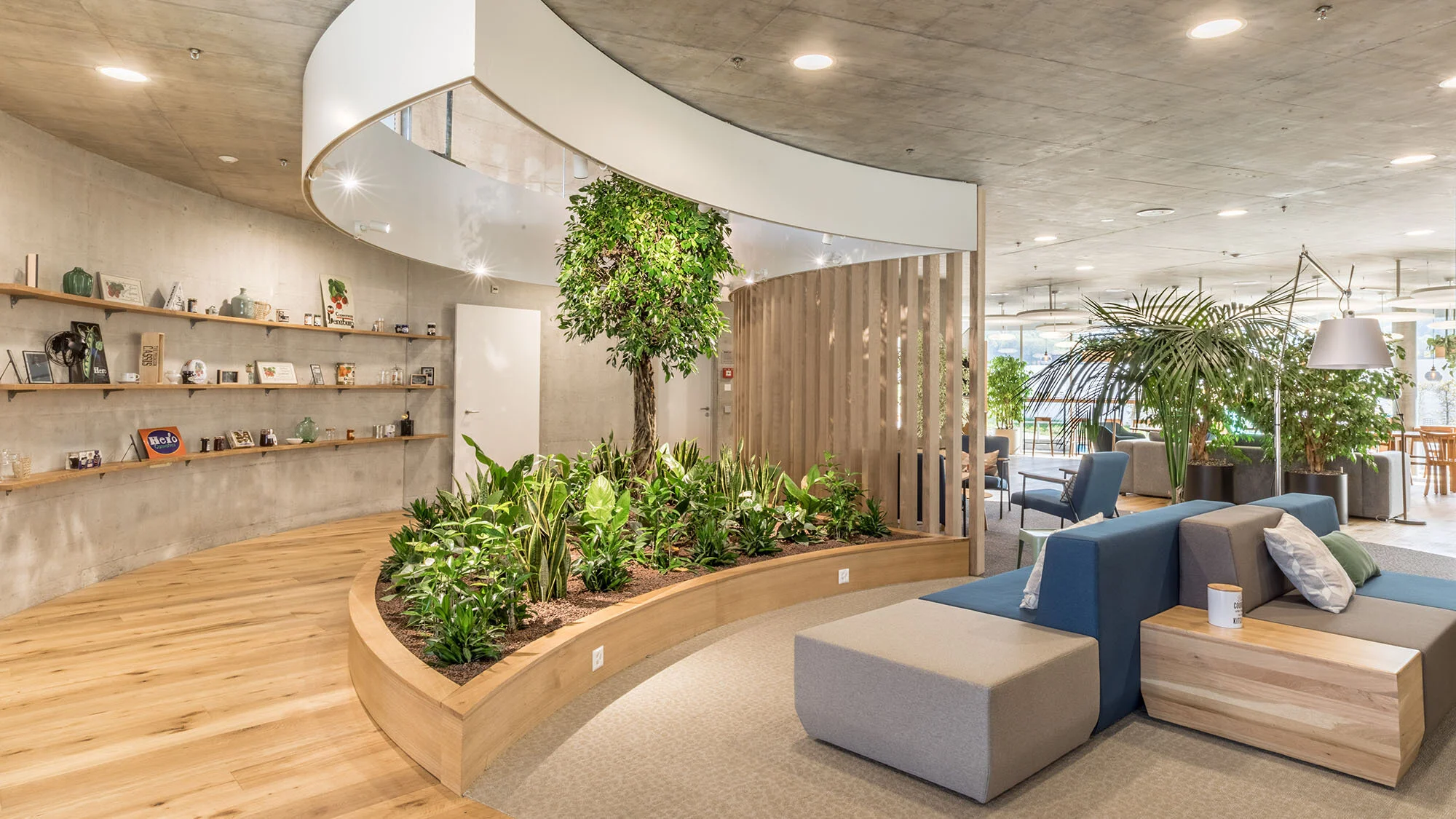 Wellness as a Market Driver: How the Pursuit of Balance Reshapes the Built Environment
