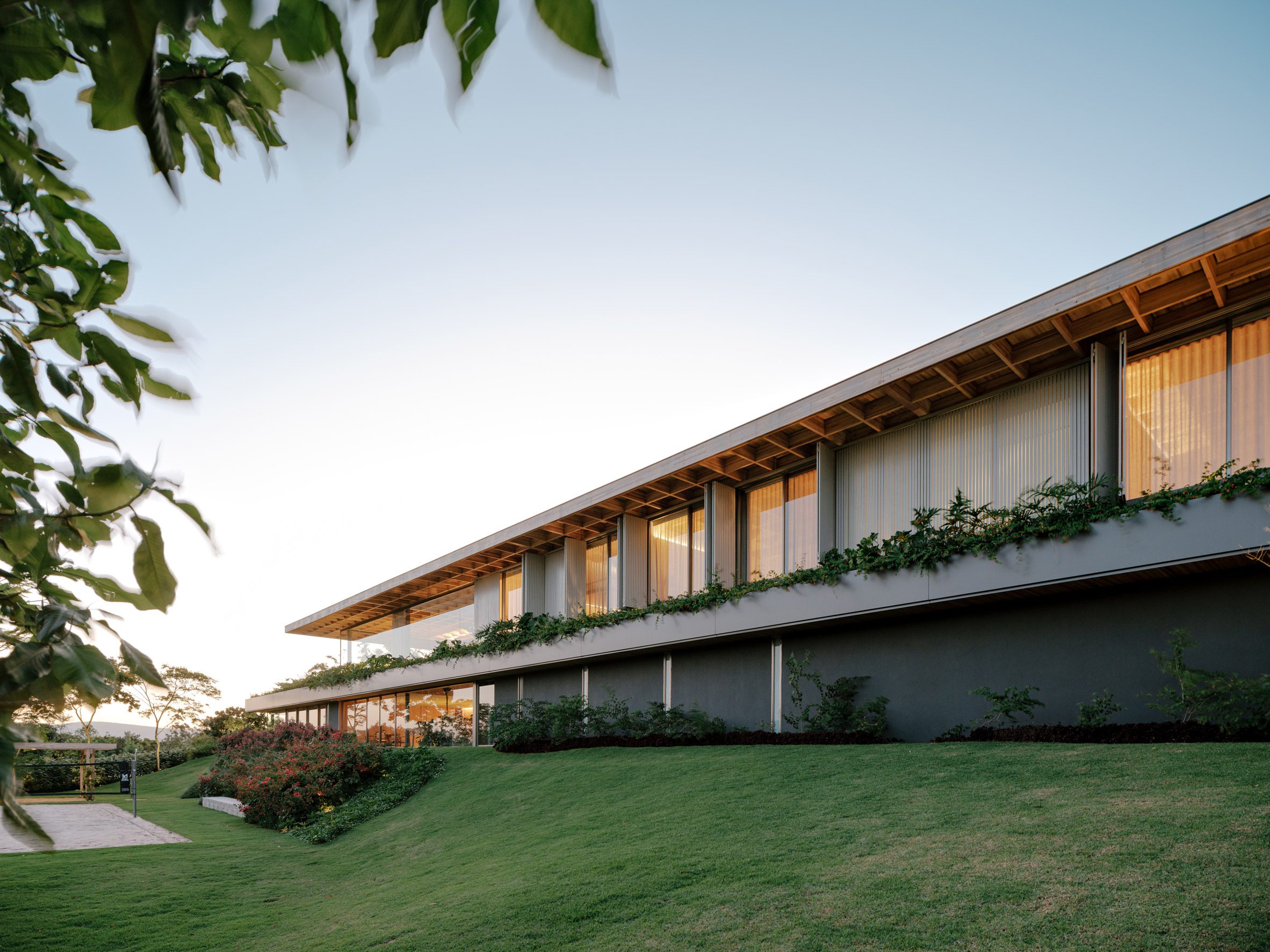 Under The Canopy: Casa Colmeia And The Architecture Of Filtered Living