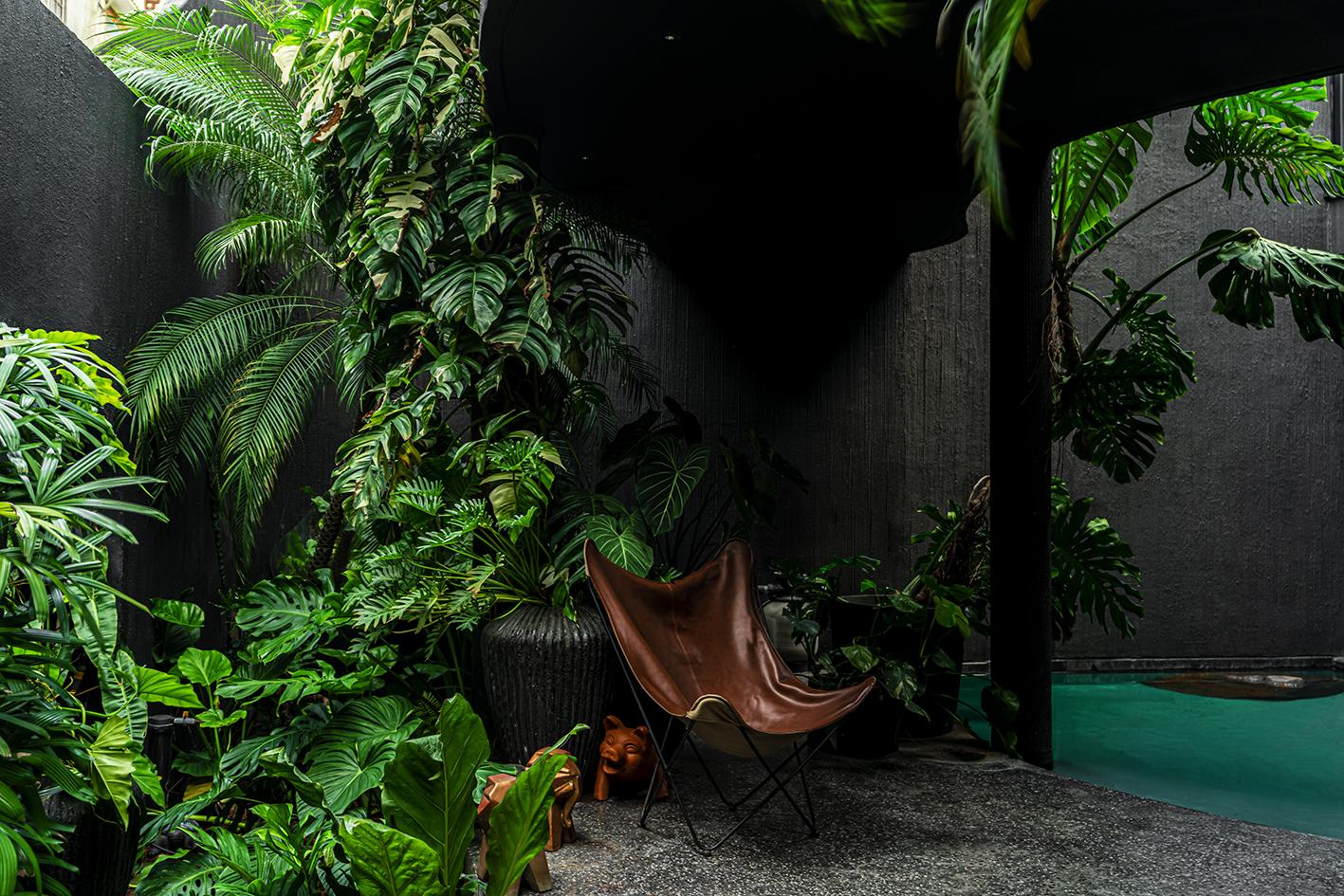 Bánh Mật House: A Courtyard-centered Sanctuary Bringing Nature Back To City Life