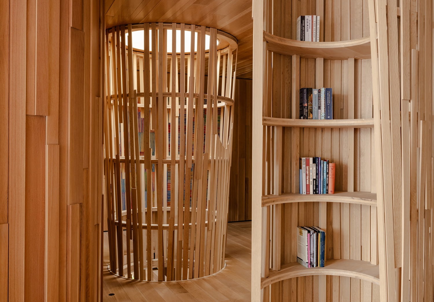 Tree House 31: A Quiet Architectural Dialogue Between Forest, Structure, and Imagination