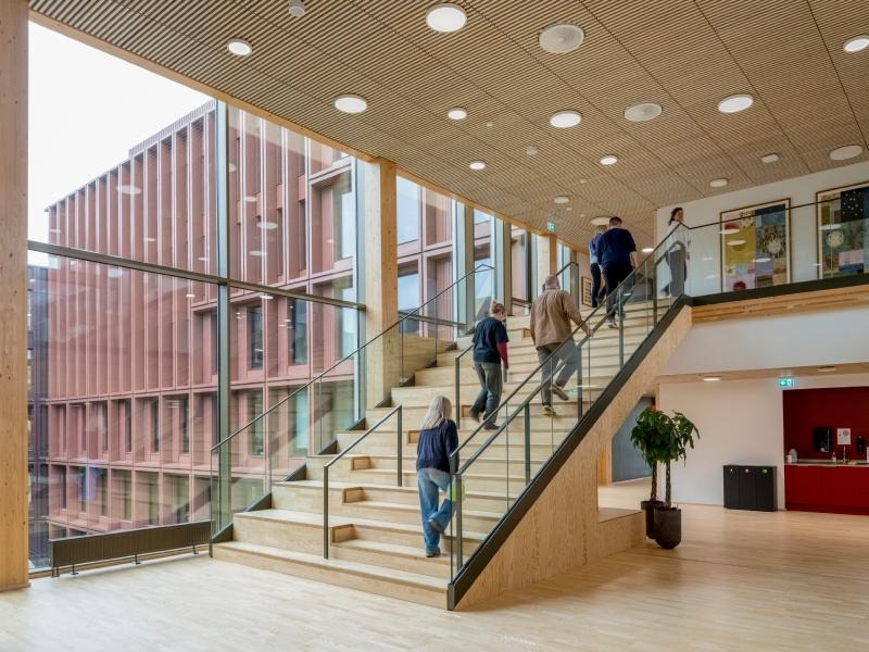 Sylvatic Rationalism: C.F. Møller Architects Plants a Structural Forest in Odense