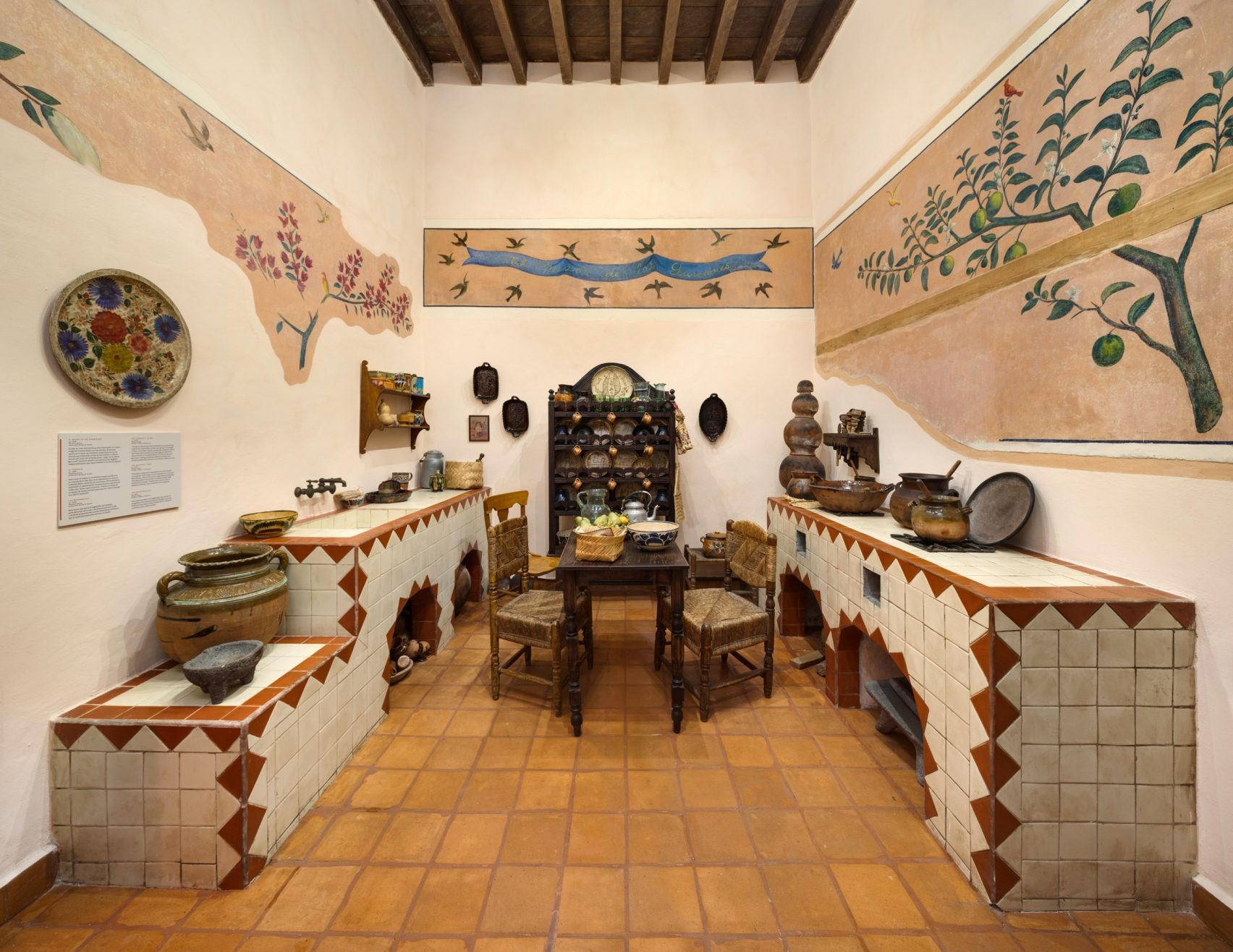 The Red House Awakening: Mariana Doet Zepeda Orozco Unveils the Private World of Frida