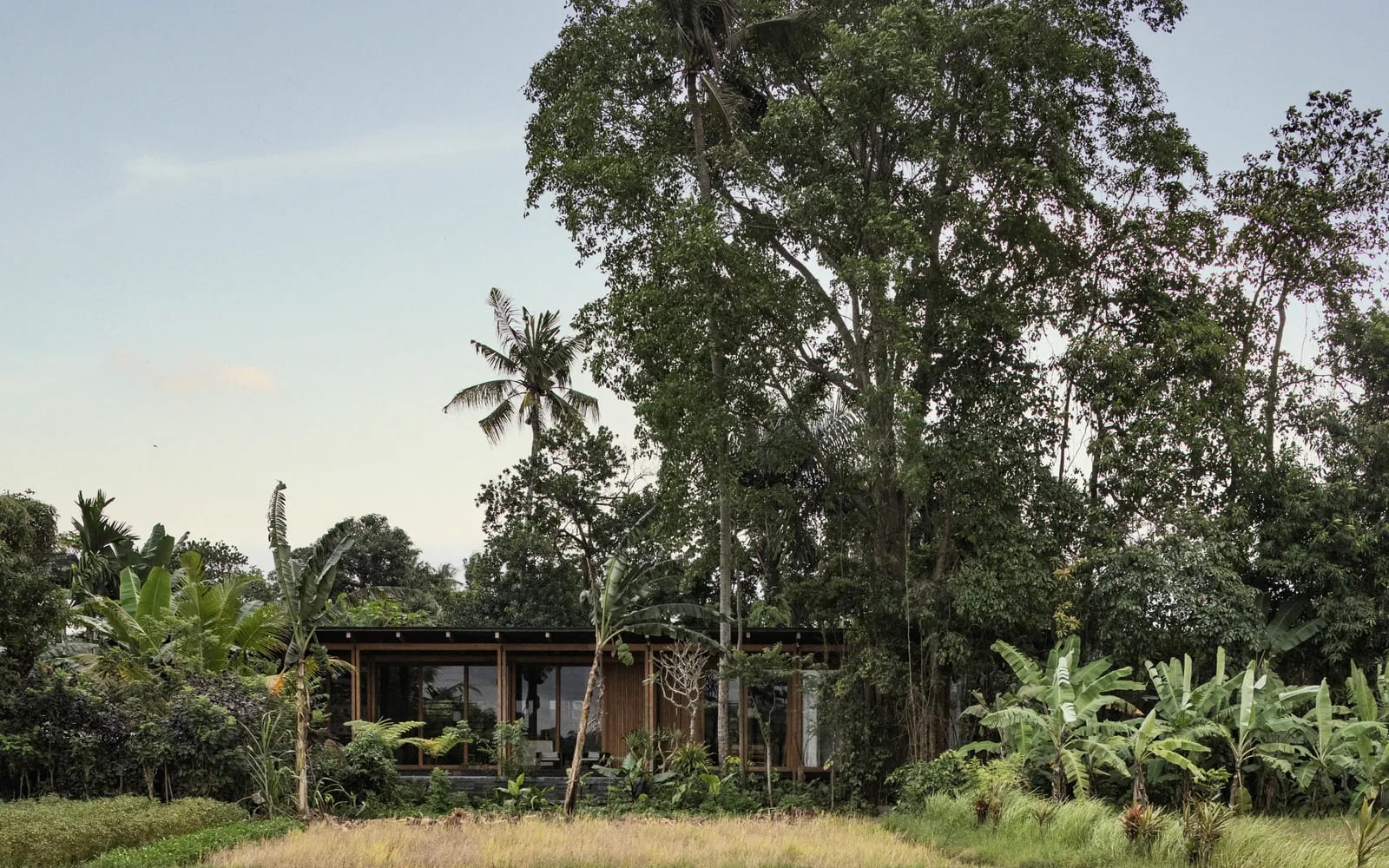 Rumah Harumi: A Grounded Tropical Home Where Architecture Grows from Earth, Light, and Daily Life in Bali
