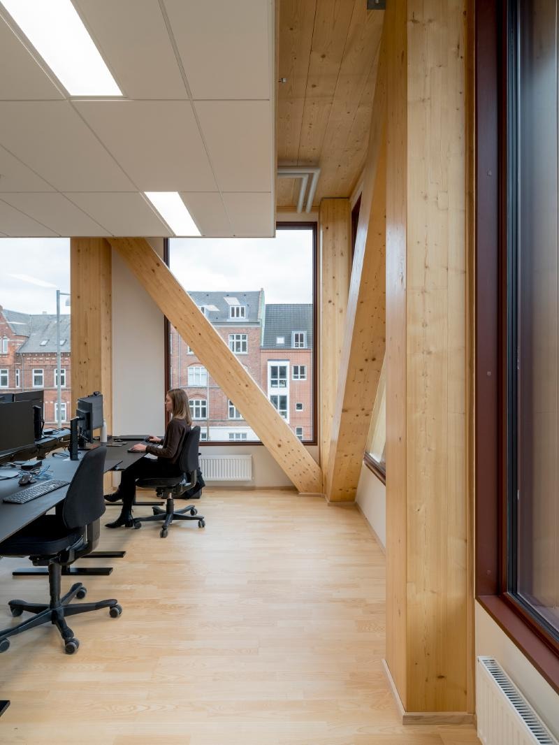 Sylvatic Rationalism: C.F. Møller Architects Plants a Structural Forest in Odense