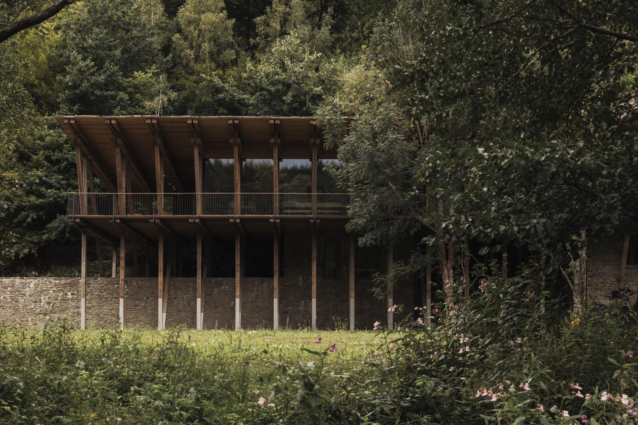 Radical Roots: How BC Architects Built 'Woodstock' from the Soil Up