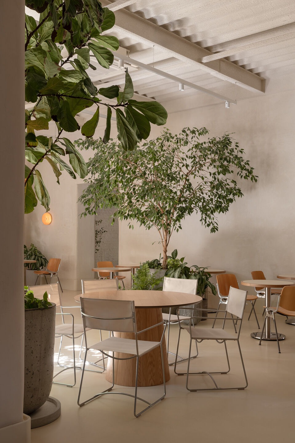 BANDA Office: An Interior Manifesto for Contemporary Creative Work