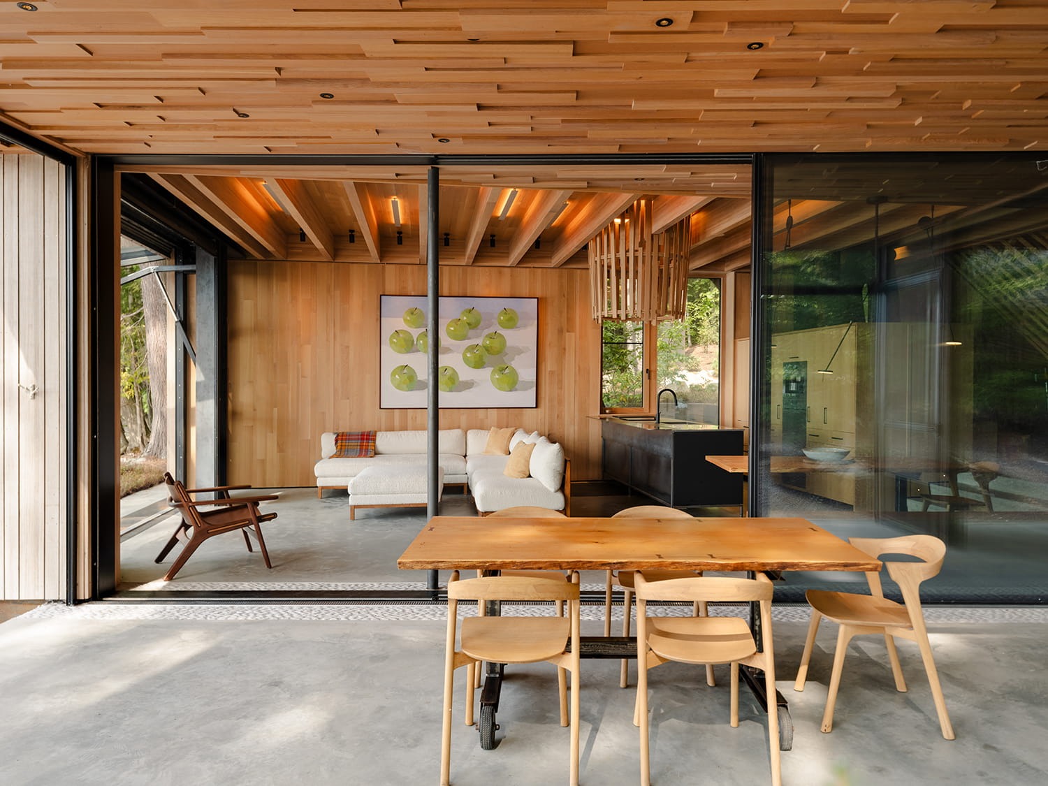 Tree House 31: A Quiet Architectural Dialogue Between Forest, Structure, and Imagination