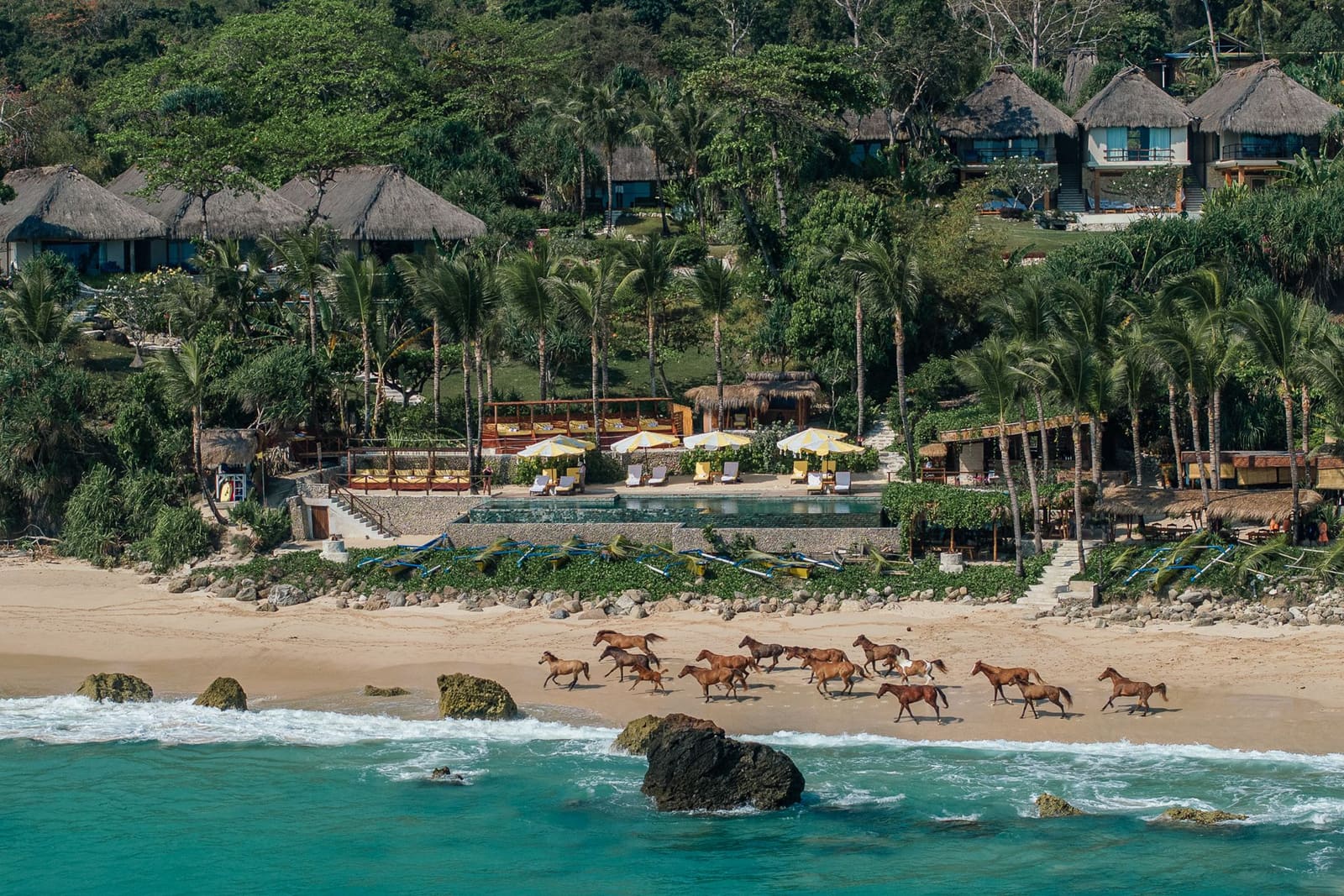 When Horses Become Mirrors: Inside Indonesia's Emotional Healing Retreat