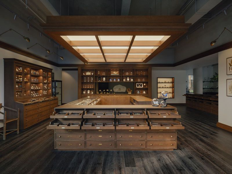 When Raw Concrete Meets Natural History: A Retail Space That Breaks the Museum Mold