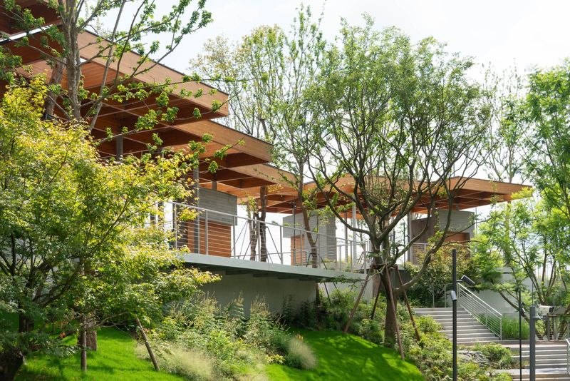 When the Roof Becomes the Landscape: Atelier OO's Floating Canopy in Chengdu