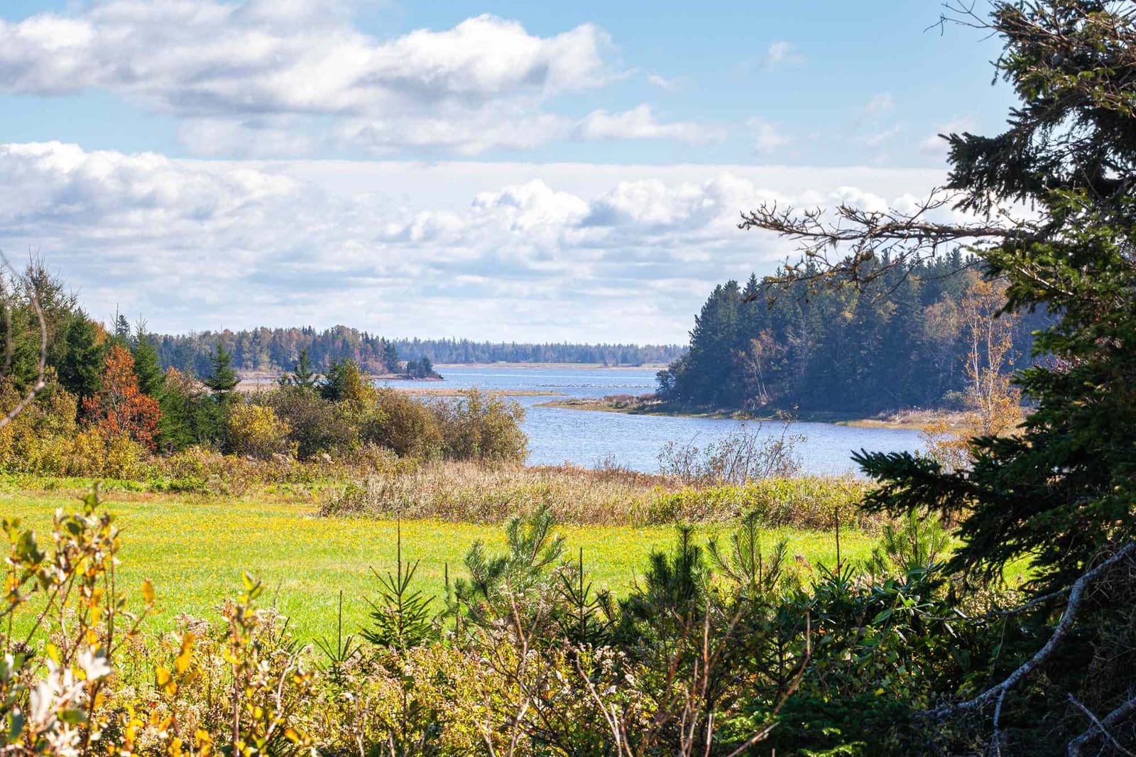 When Summer Lingers: The Quiet Season Between Heat and Harvest