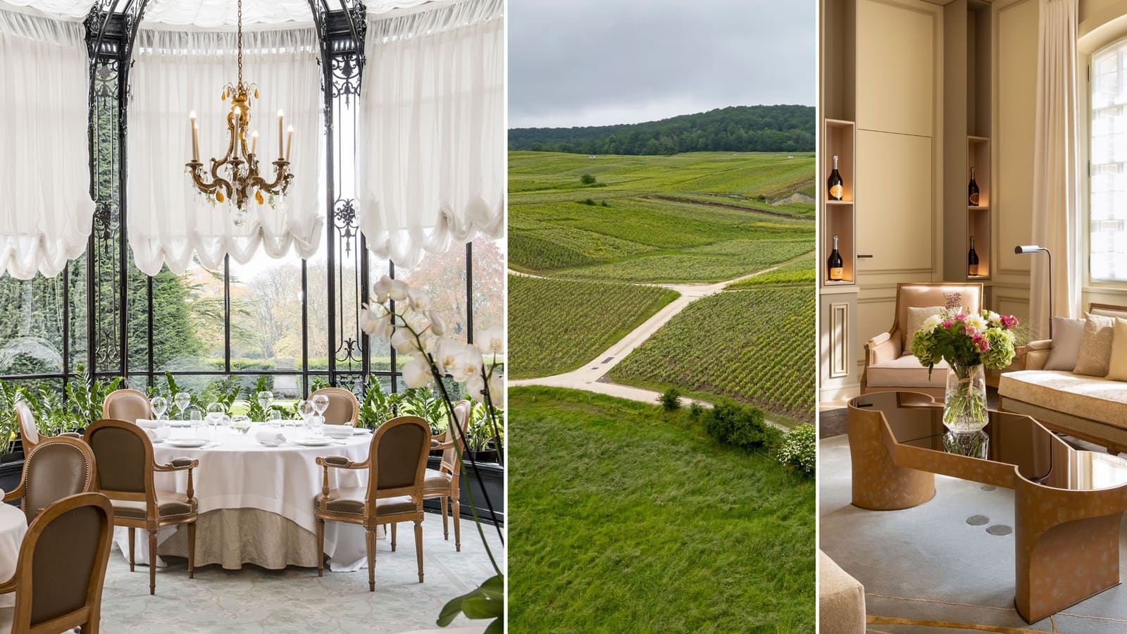 Where the Chalk Speaks: Rediscovering Champagne Beyond the Bubbles