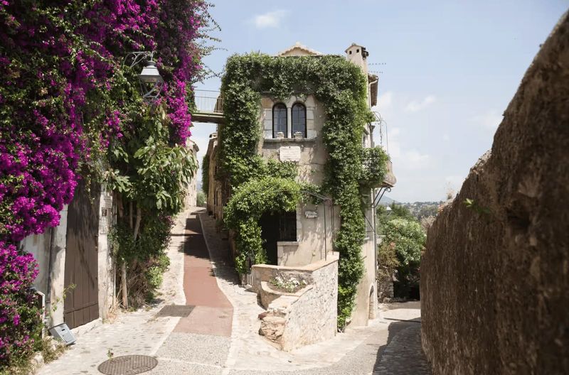 Where Lavender Meets the Sea: Finding Your Perfect South of France Retreat
