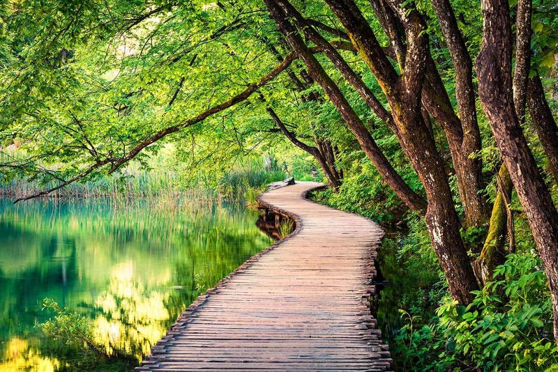 Where the World Still Breathes Green