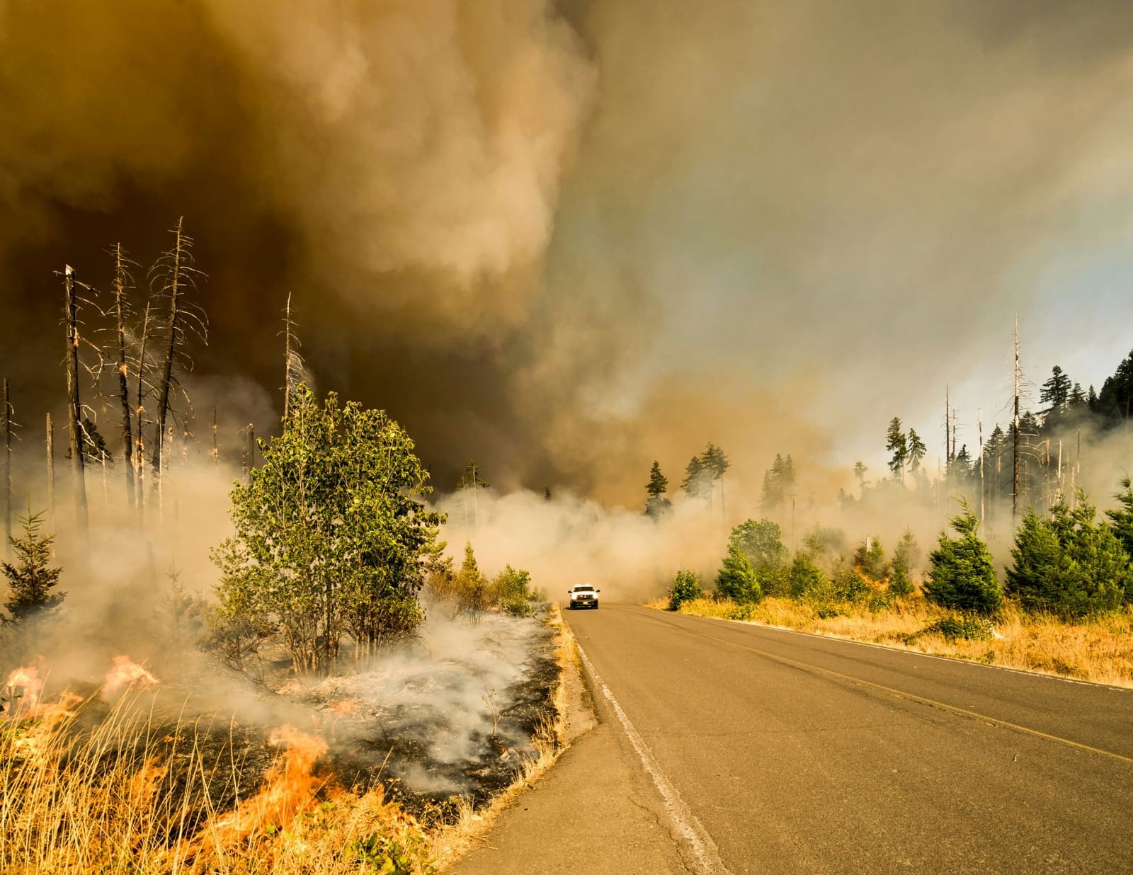 Wildfire Alerts in France and Spain Complicate Summer Travel Plans