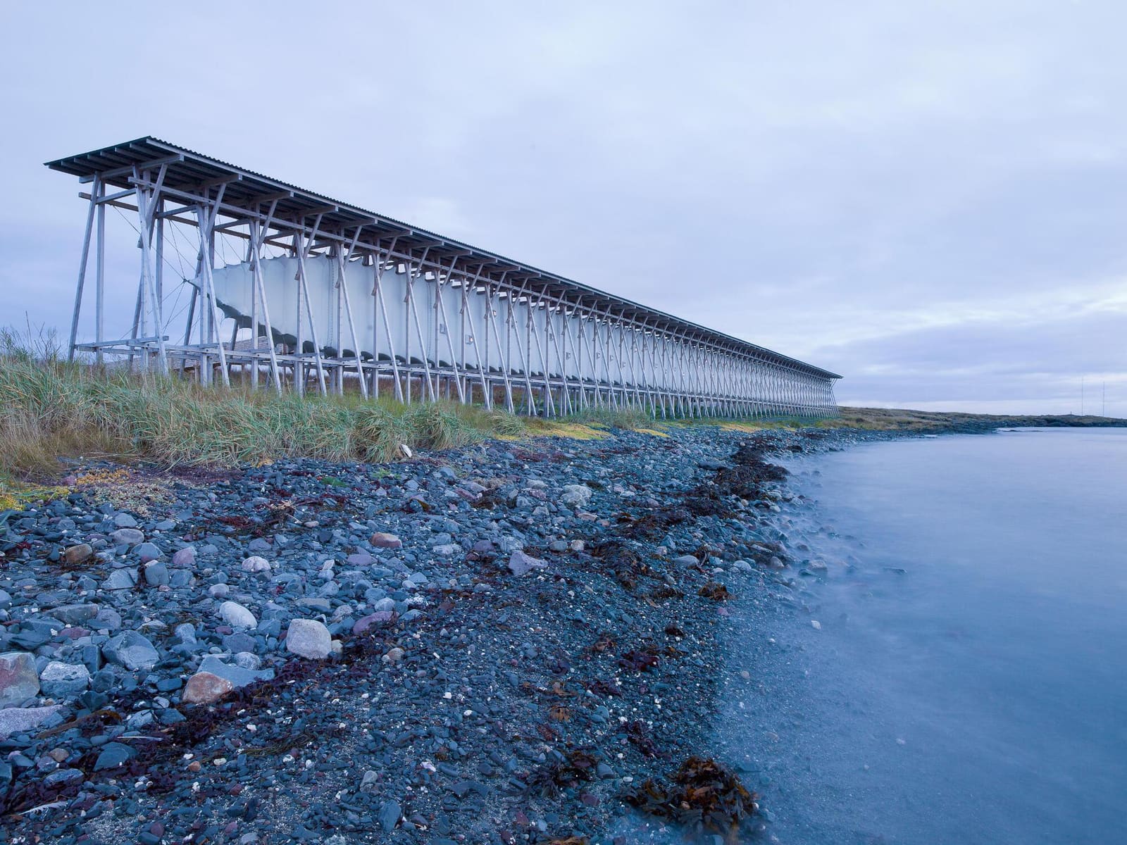 When Cinema Turns Inward: Wim Wenders Explores Architecture Through Experience