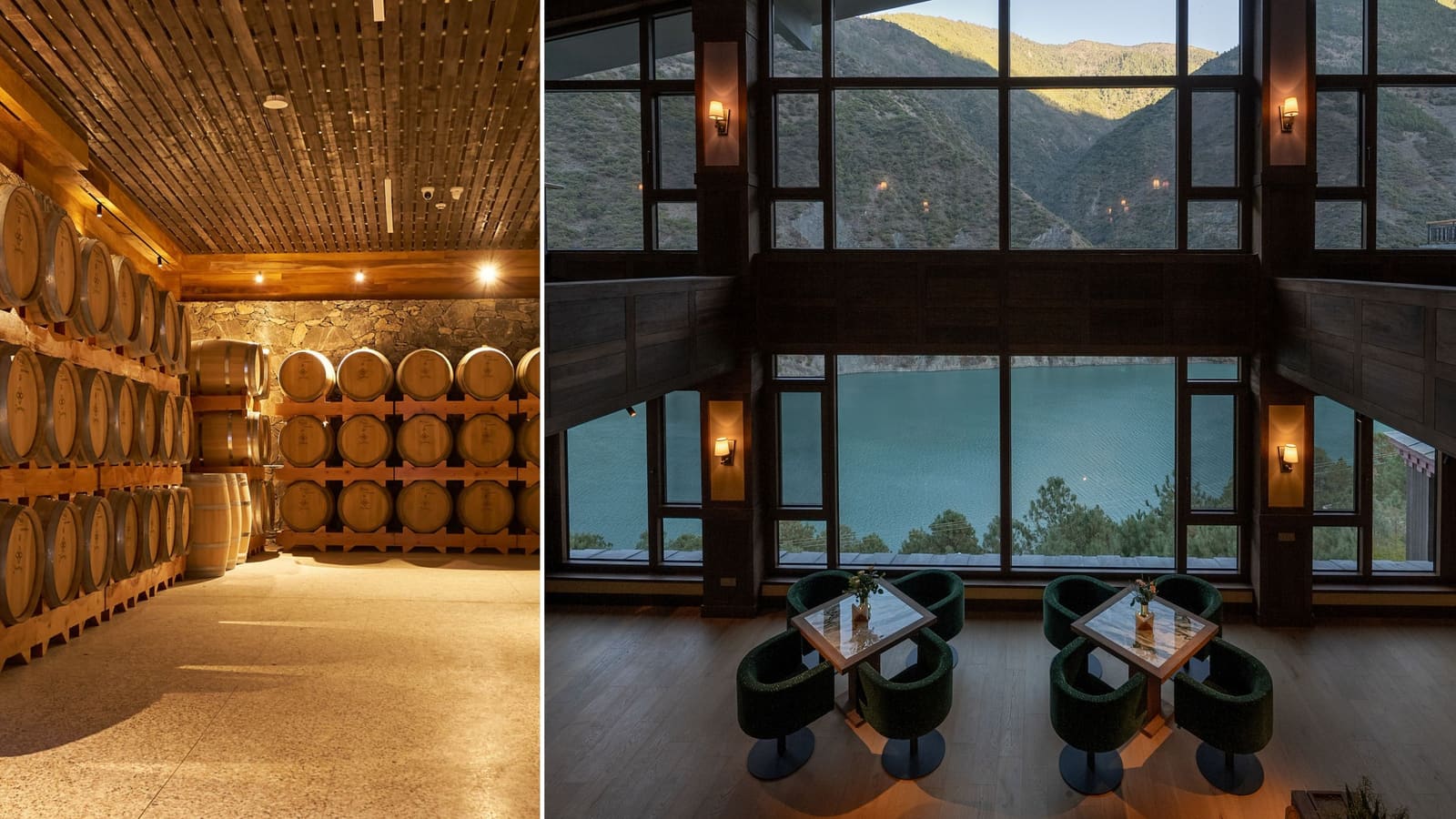 Where the Vines Meet the Bed: Seven Wine Estates That Teach You to Read Terroir