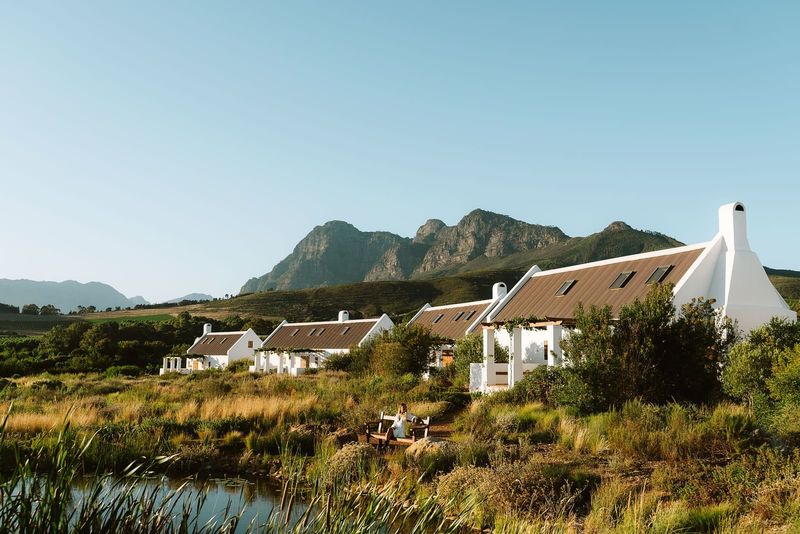 Where Harvest Meets Hospitality: The Quiet Rise of the Working Farm Stay